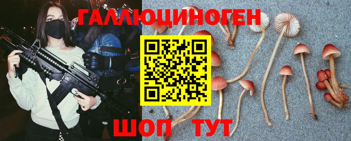 Галлюциногенные грибы мицелий  Вход с VPN  Саров  купить закладку  Псилоцибиновые грибы Psilocybe 