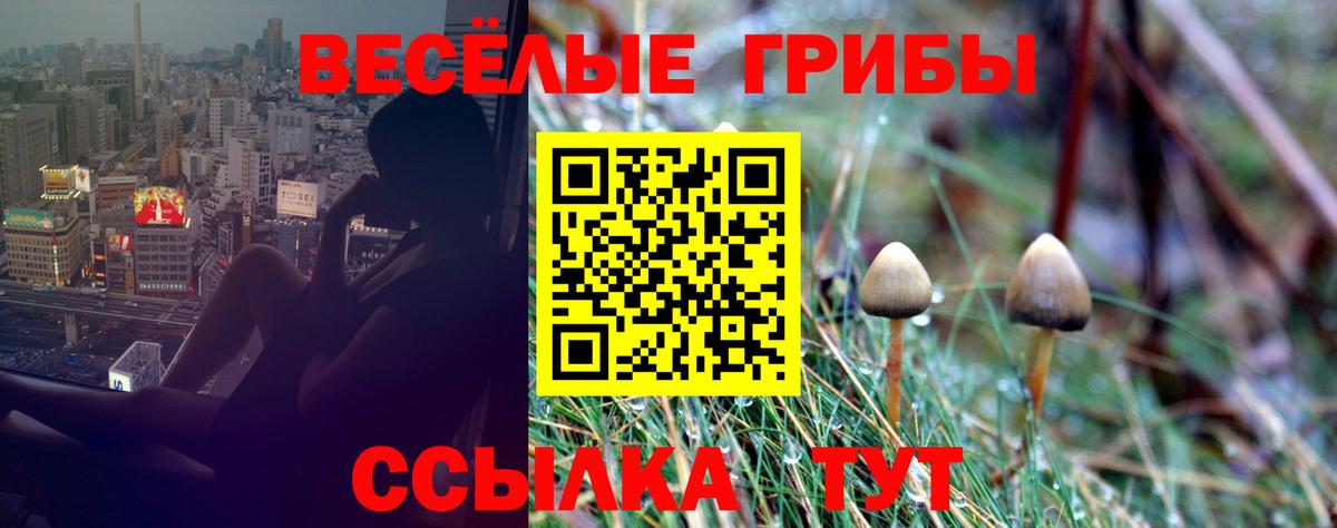 Галлюциногенные грибы ЛСД Саров